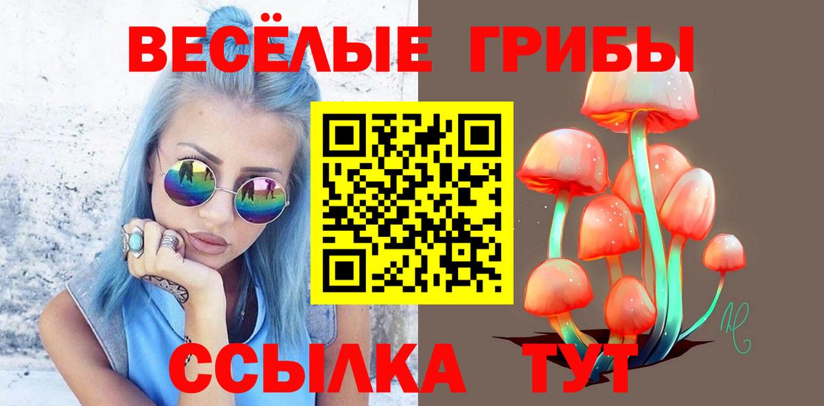 Тихорецк  Псилоцибиновые грибы GOLDEN TEACHER  Вход с VPN  Псилоцибиновые грибы мухоморы 